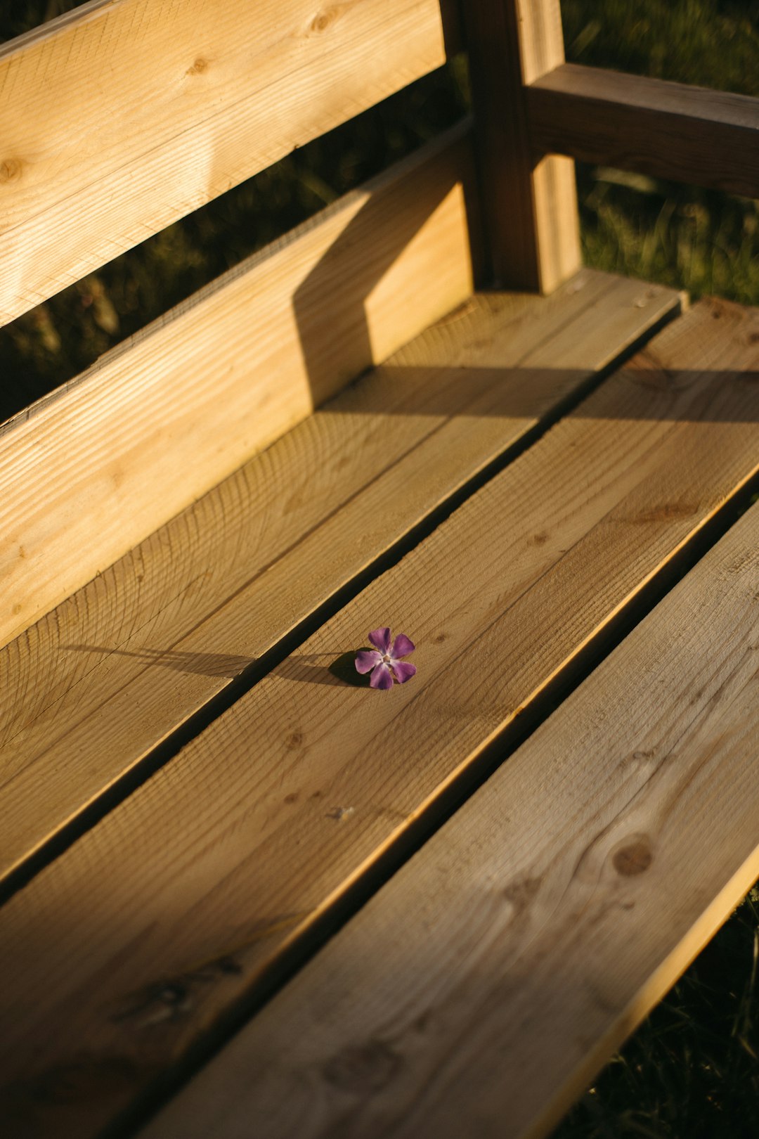 Garden Sample Item 1 — detail