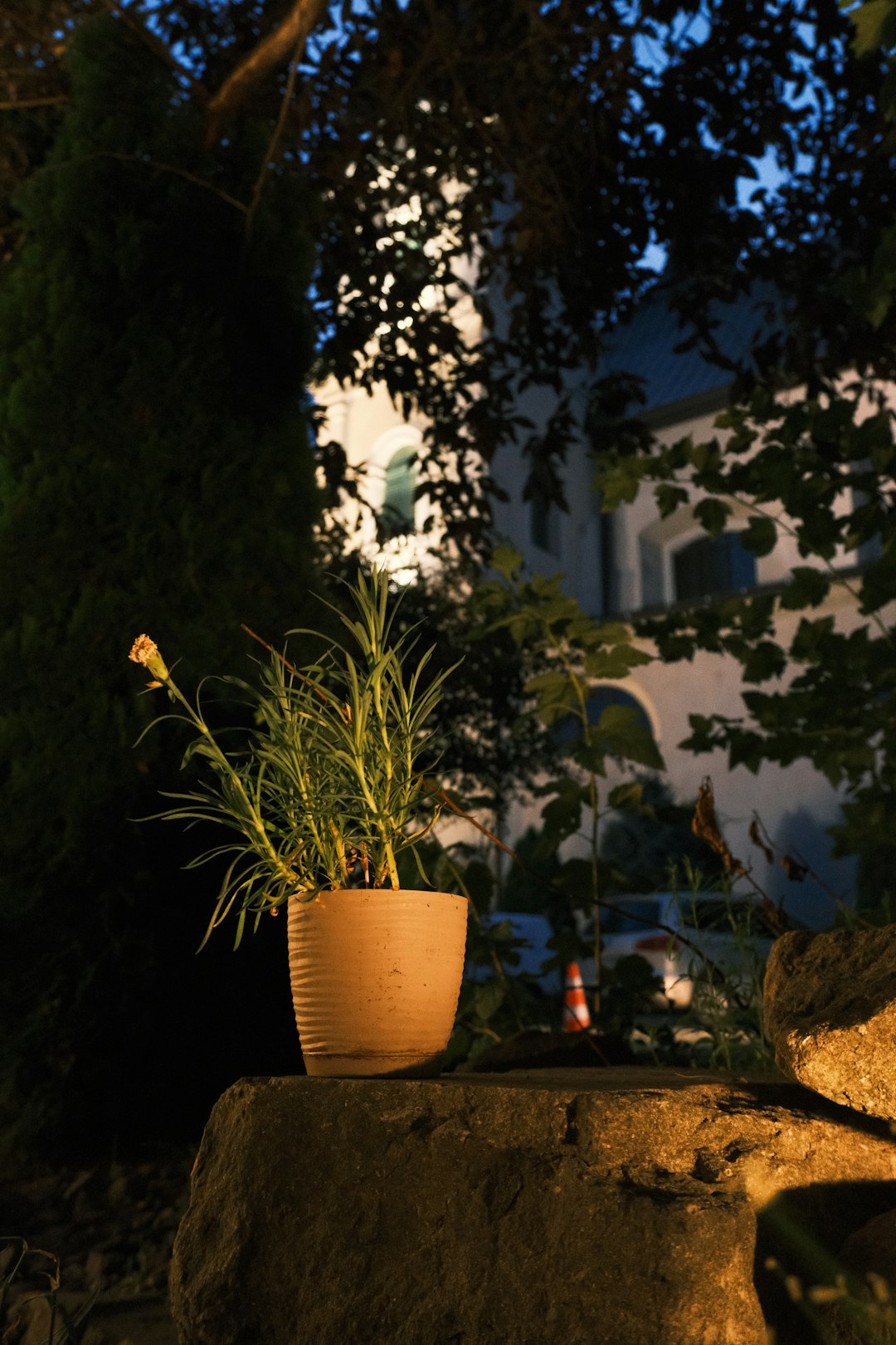 Outdoor Ceramic Planter